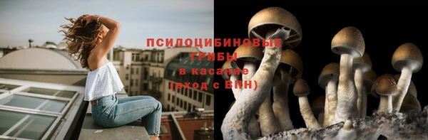 спиды Ростов