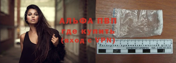 спиды Ростов