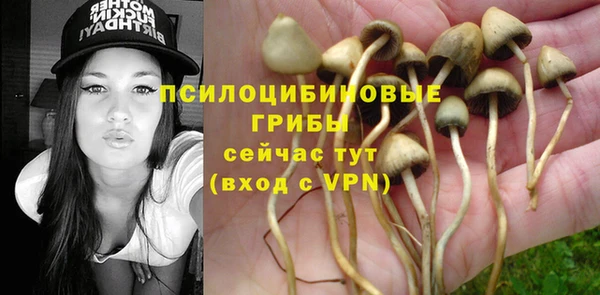 спиды Ростов