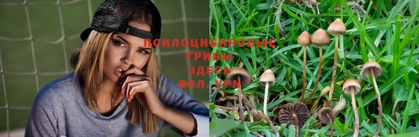 таблы Россошь