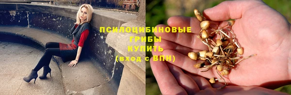 спиды Ростов